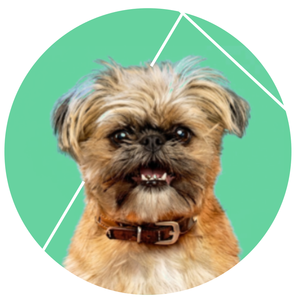 member portrait
