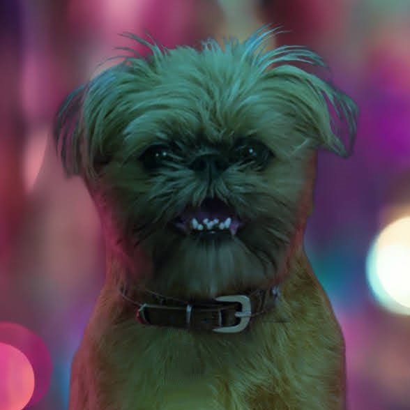 member portrait